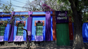 Un museo niega que ropa de Frida Kahlo bajo su resguardo haya sido usada por Madonna