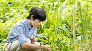 Japon: Hisahito, deuxième dans l'ordre de succession de l'Empereur fête ses 18 ans