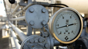 Il prezzo del gas chiude in rialzo sopra i 34 euro