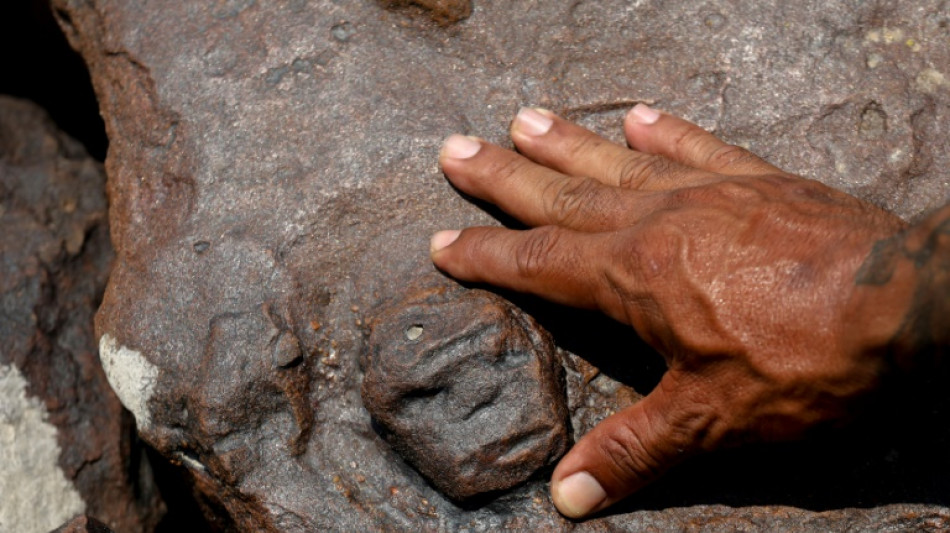 Drought in Brazil's Amazon reveals ancient engravings