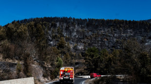 Estabilizado el gran incendio que quemó miles de hectáreas en oeste de España